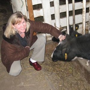 Meet your Posher, Sue